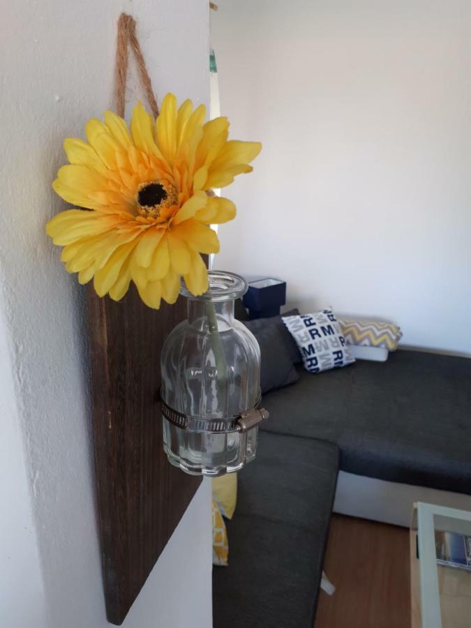 Apartman Zvoncica Vrsi Kültér fotó